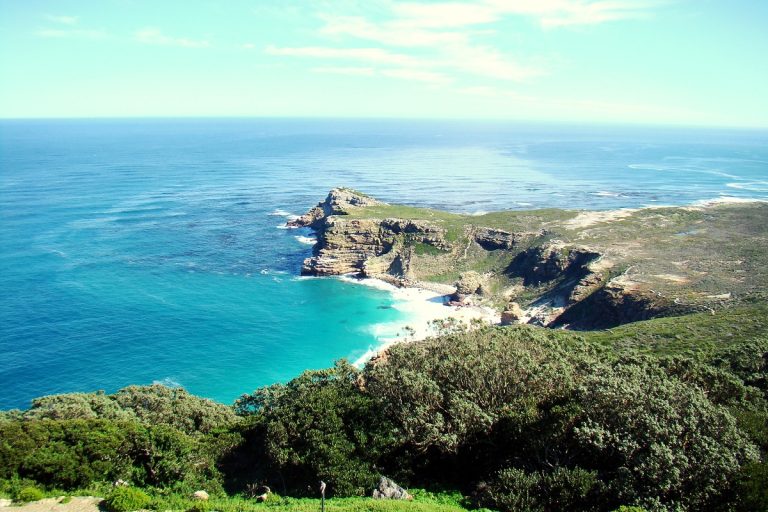 Top Things to Do in Cape Town