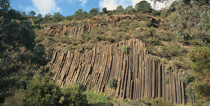 Organs pipes Cathedral Peak Drakensberg trekking