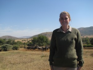 Pilanesberg Day Tours