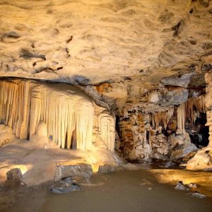 Sterkfontein caves tour and walking with elephants