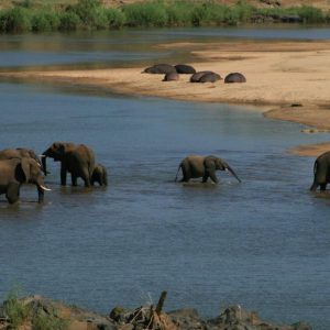 2 day Pilanesberg Safari Adventure