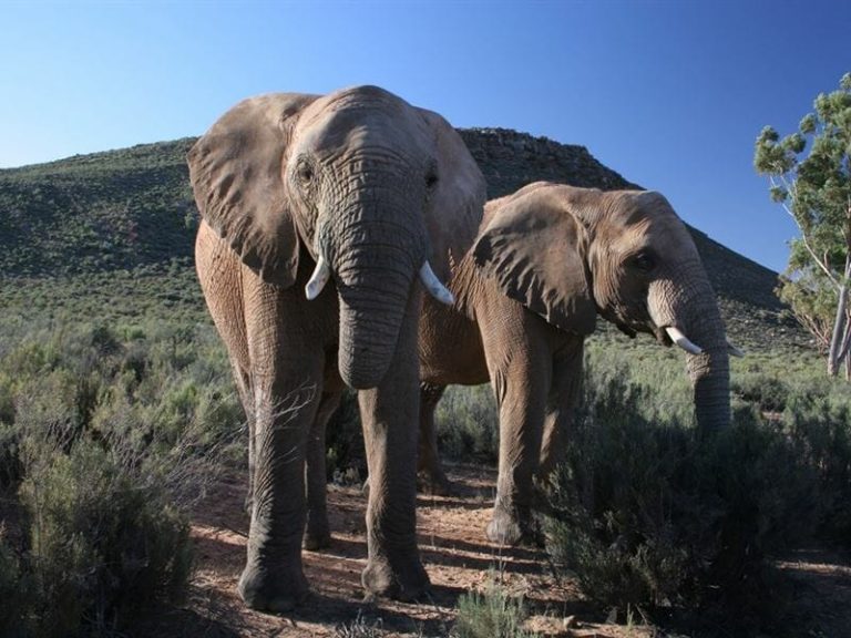 half day tours in Johannesburg