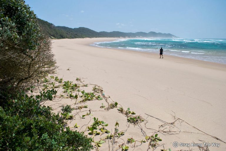 Sodwana Bay-Land of the alcoholic palms